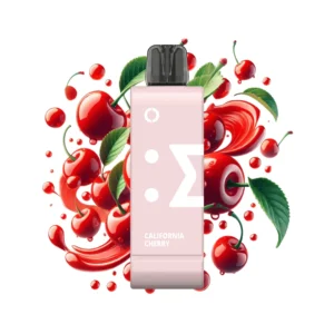 ELFBAR EW 9000PUFF